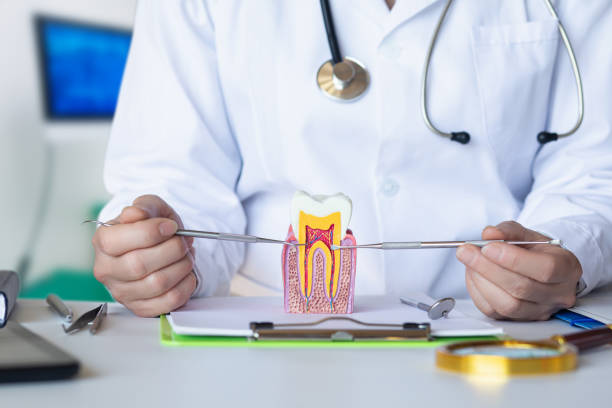 Best Emergency Treatment for Dental Infections or Abscesses in Galion, OH